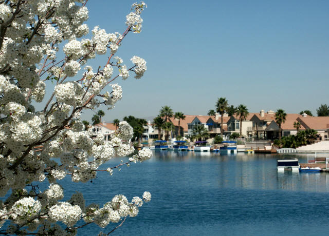 The Lakes Las Vegas Community Photo